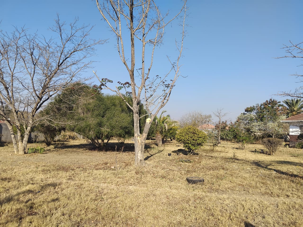 WhatsApp Image 2025-08-27 at 13.38.26_22929291 4 Bedroomed Sunninghill house for sale