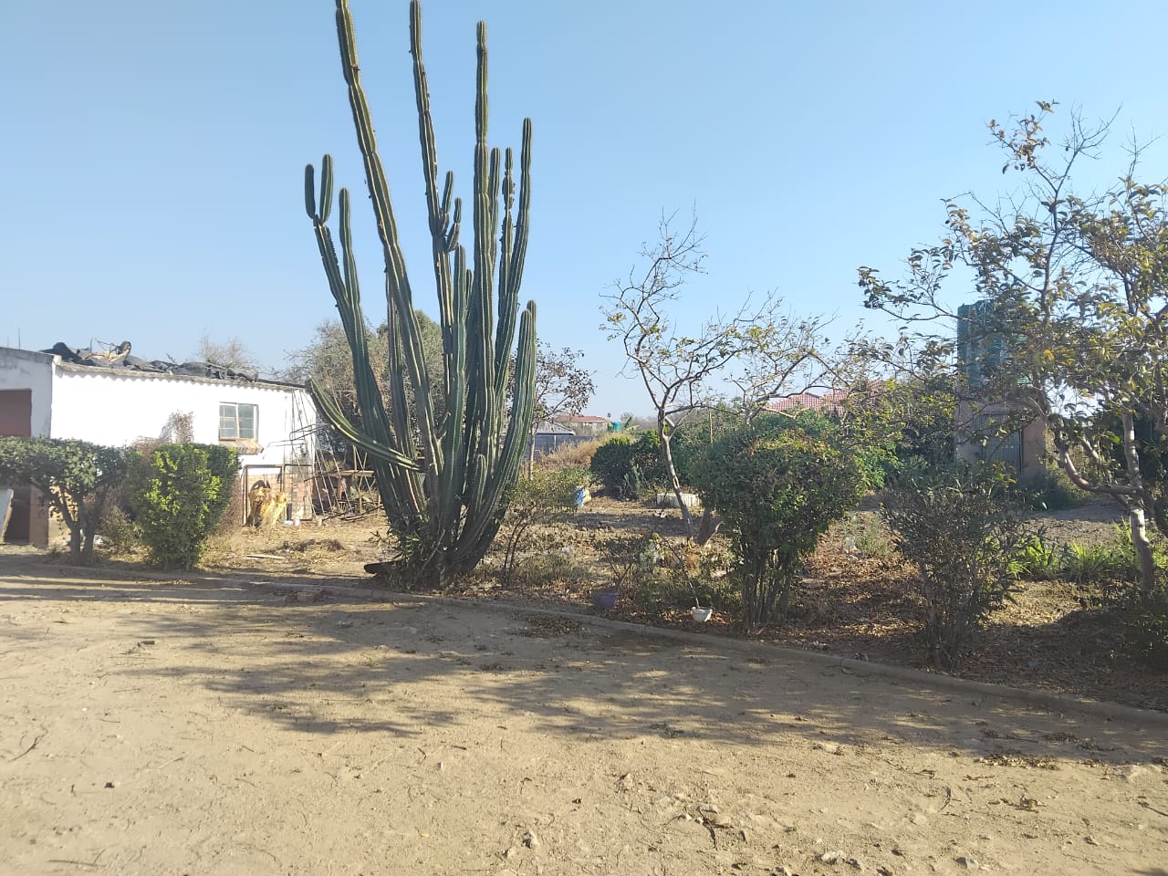 WhatsApp Image 2025-08-27 at 13.38.31_d71fdbcc 4 Bedroomed Sunninghill house for sale