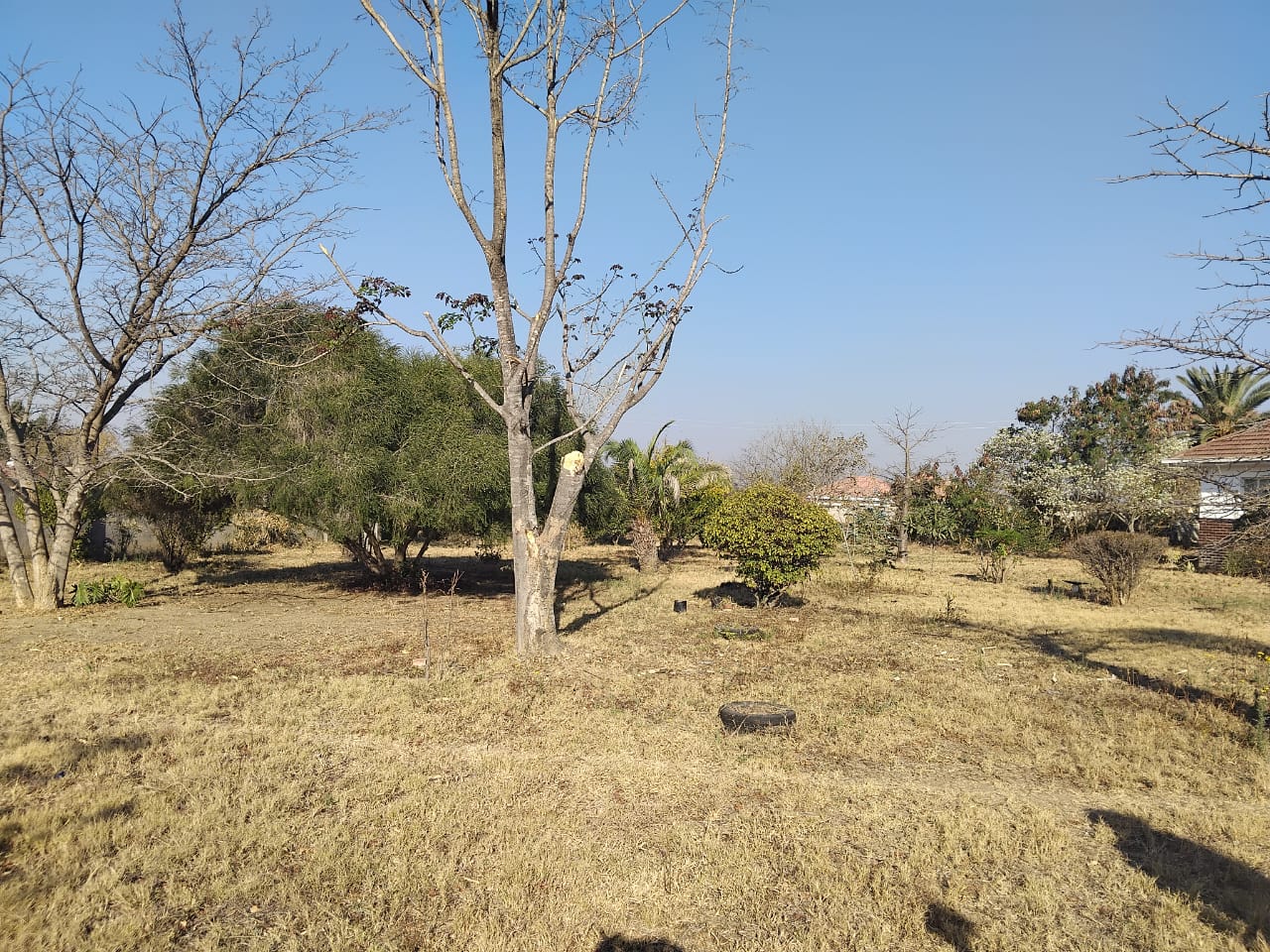 WhatsApp Image 2025-08-27 at 13.38.34_96adf4c9 4 Bedroomed Sunninghill house for sale