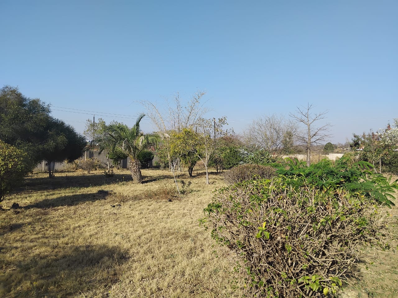 WhatsApp Image 2025-08-27 at 13.38.40_59e6fff0 4 Bedroomed Sunninghill house for sale