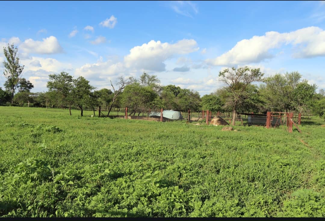 Worringham Property For Sale