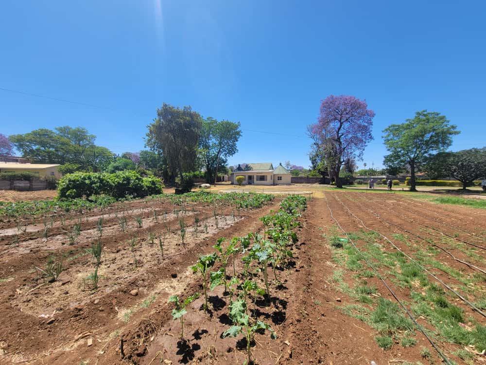 3 Bedroomed House in Bellevue for sale