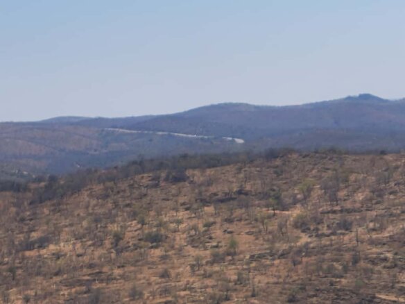Expansive Land For sale in Esigodini