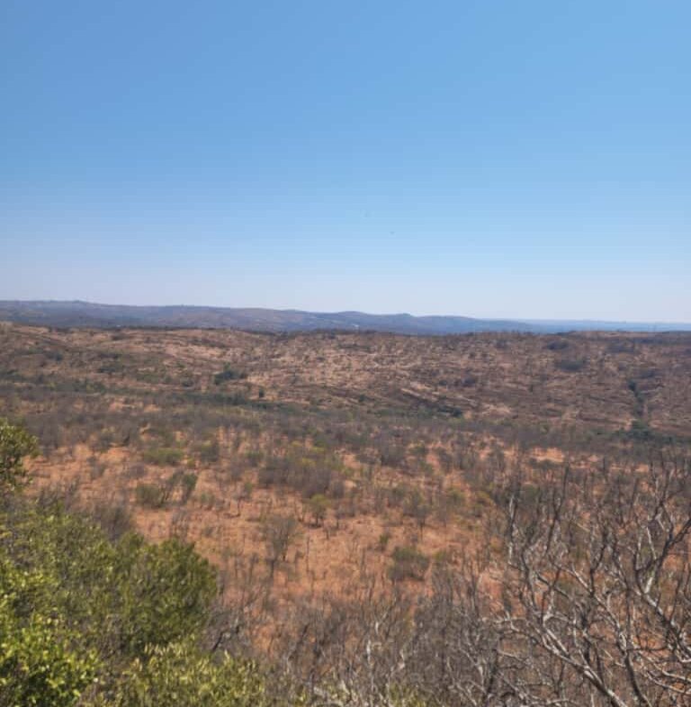 Expansive Land For sale in Esigodini
