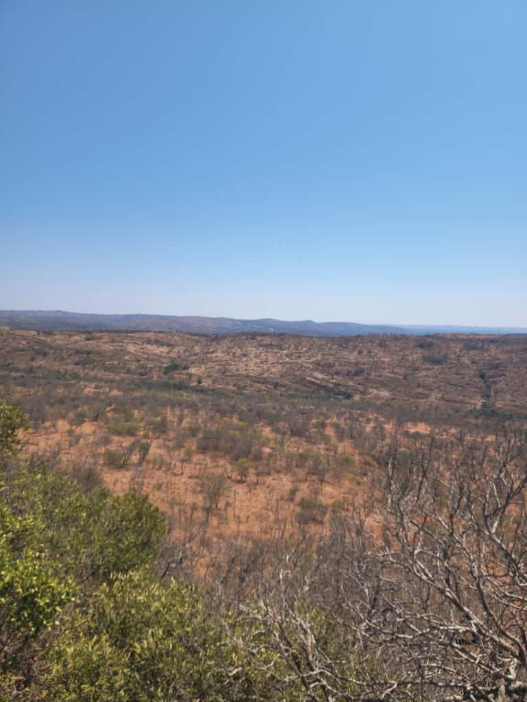 WhatsApp Image 2025-10-23 at 16.10.45_e7c935cd Expansive Land For sale in Esigodini