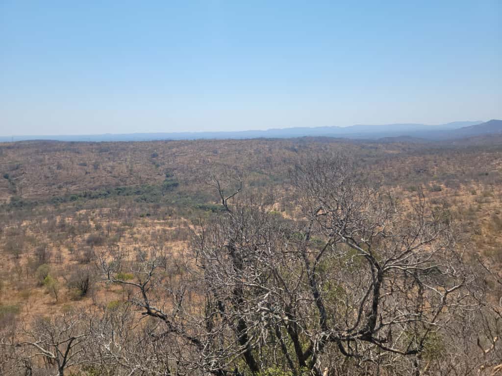 Expansive Land For sale in Esigodini
