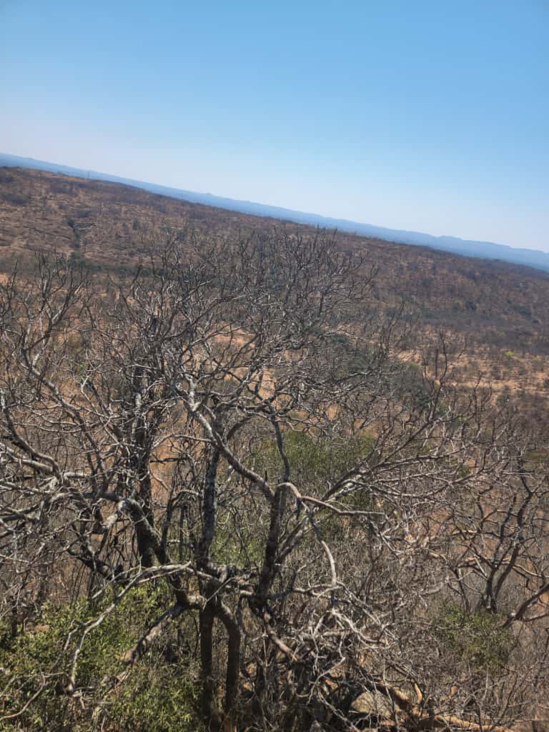 WhatsApp Image 2025-10-23 at 16.10.53_5614141f Expansive Land For sale in Esigodini