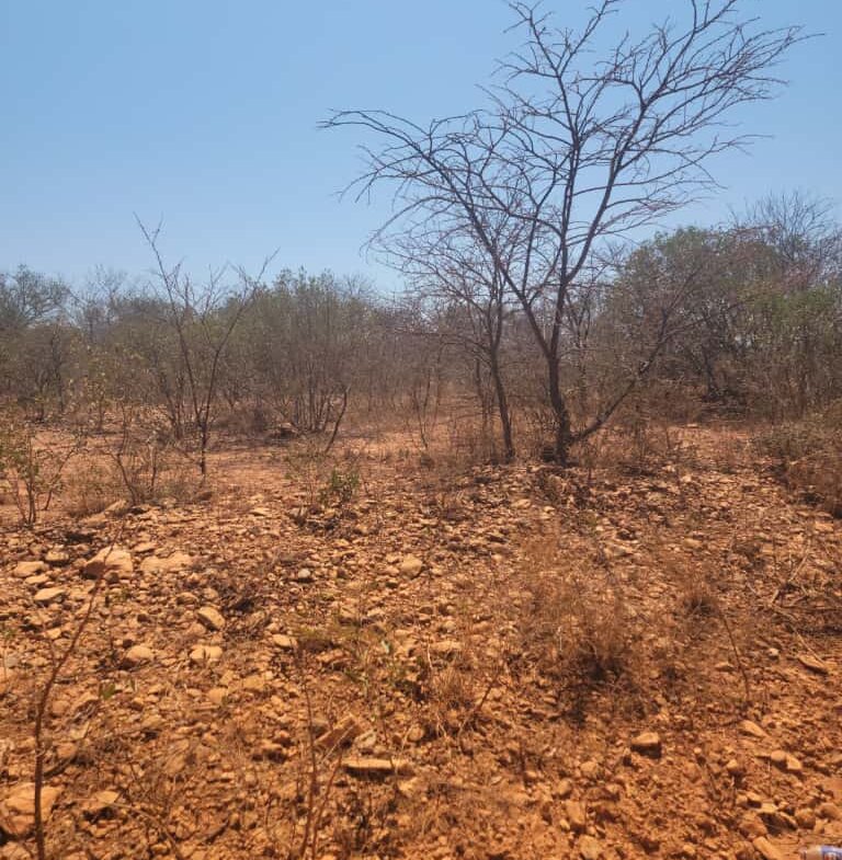 Expansive Land For sale in Esigodini
