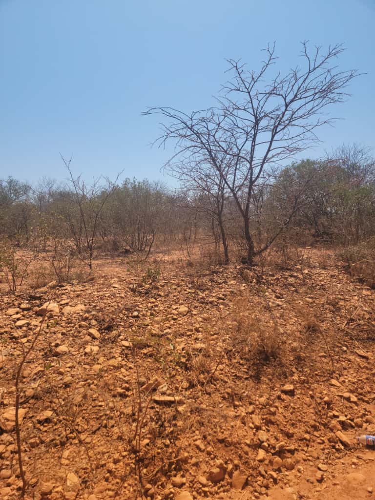 WhatsApp Image 2025-10-23 at 16.11.07_443cfc7d Expansive Land For sale in Esigodini