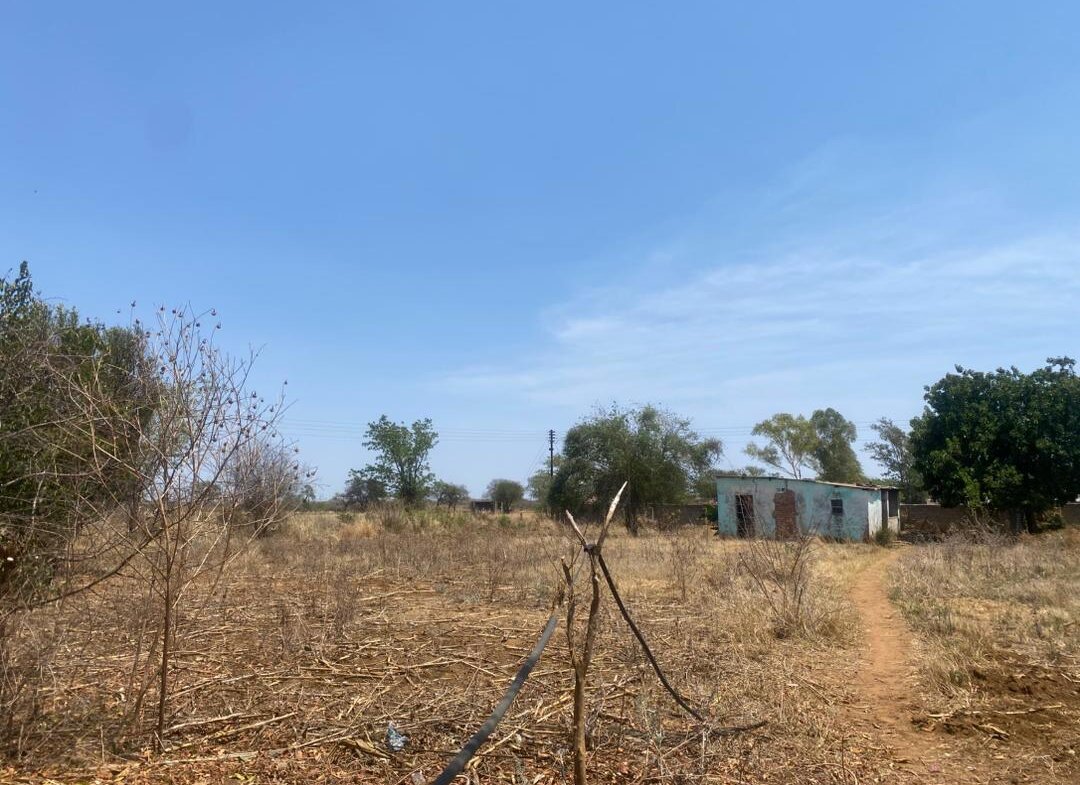800 Square Meter Prime Land for sale in Woodville