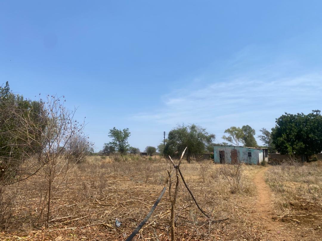 WhatsApp Image 2025-11-06 at 11.10.52_3a958ffa 800 Square Meter Prime Land for sale in Woodville