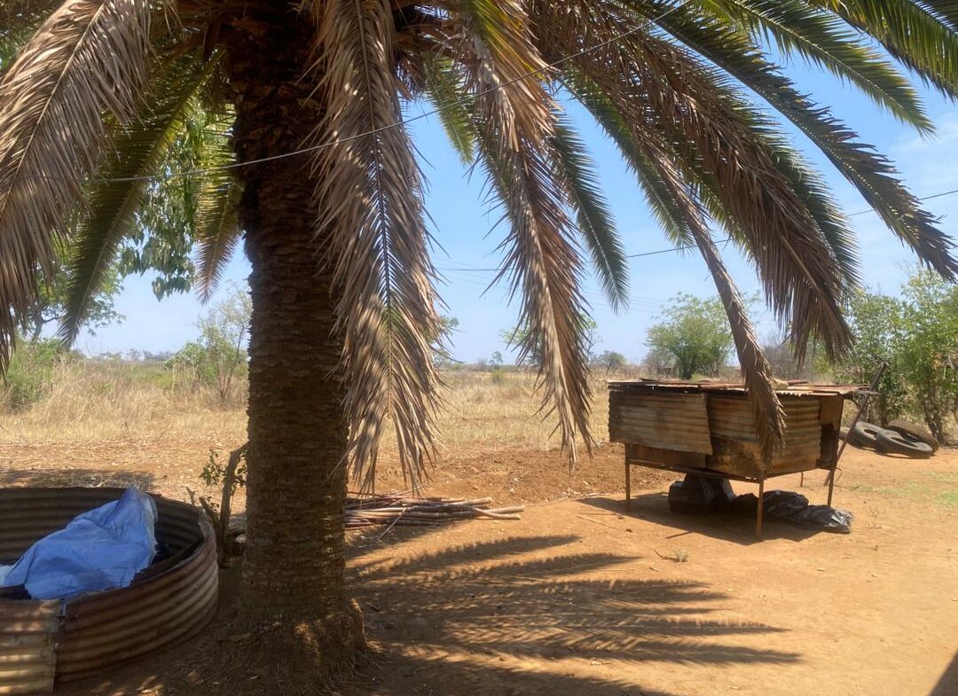 800 Square Meter Prime Land for sale in Woodville