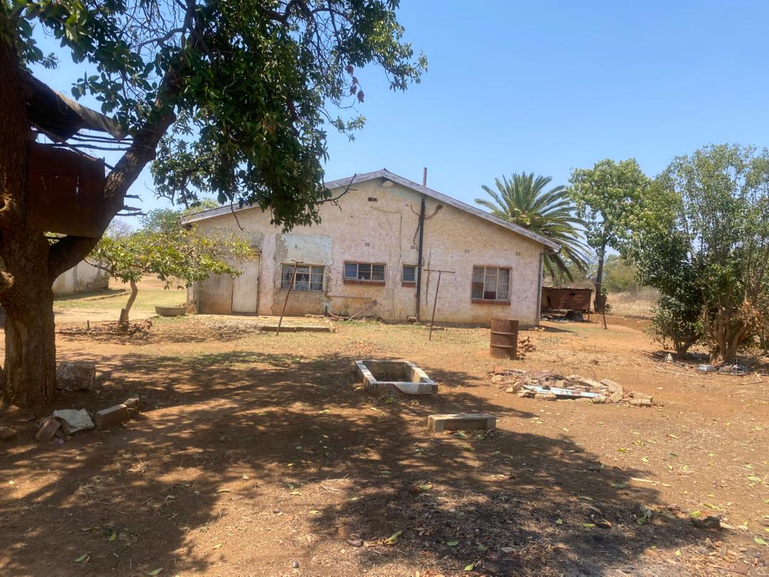 WhatsApp Image 2025-11-06 at 11.10.58_a21b4e2e 800 Square Meter Prime Land for sale in Woodville