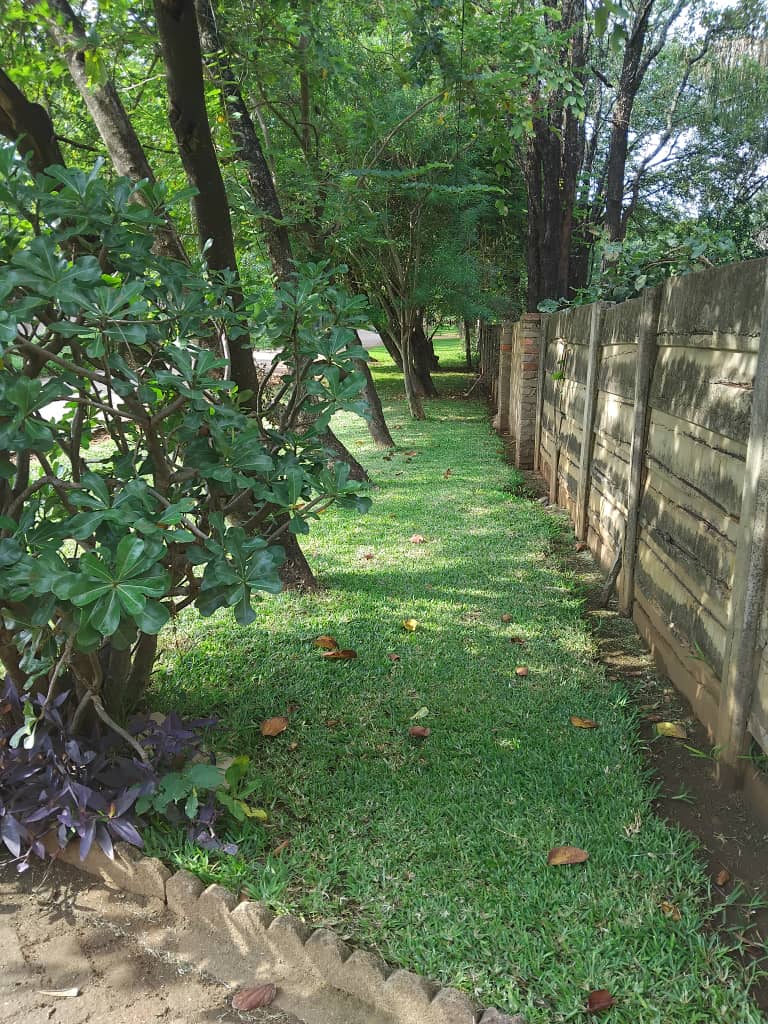 WhatsApp Image 2026-01-09 at 11.38.37 4 Bedroomed house for sale in Chiredzi