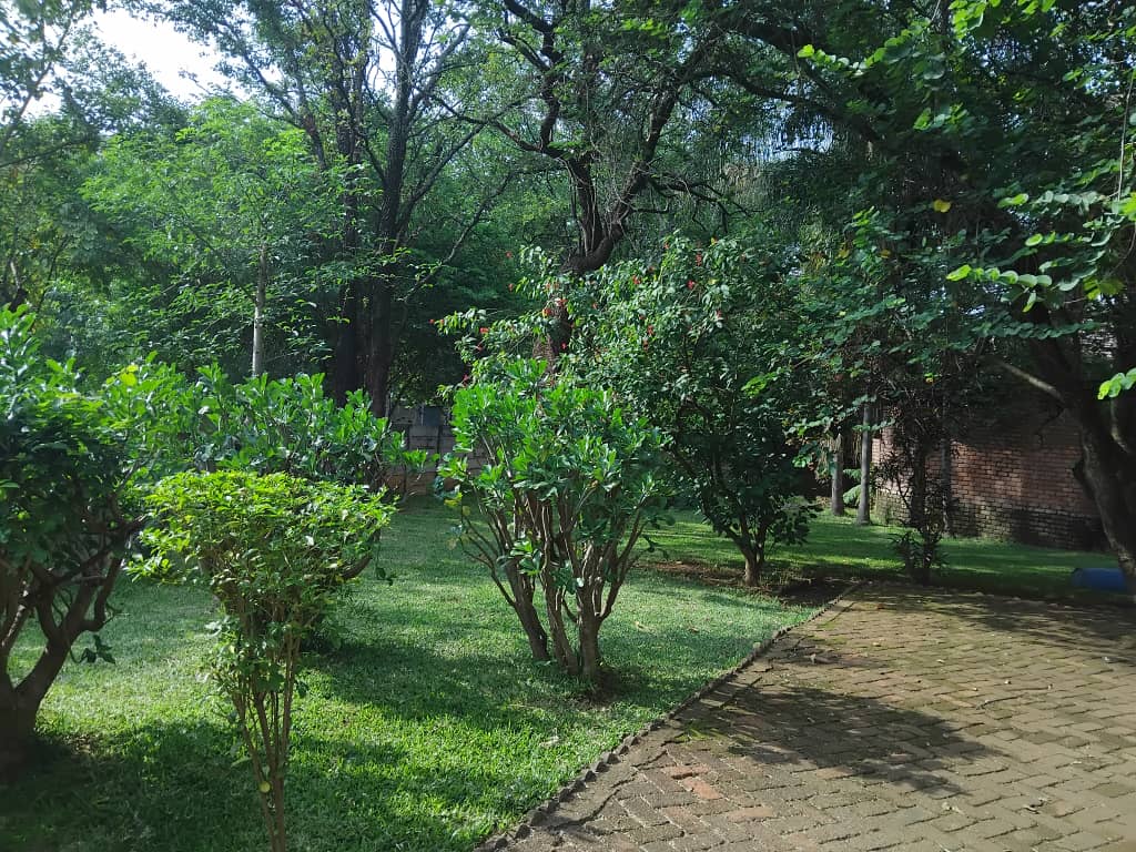 4 Bedroomed house for sale in Chiredzi