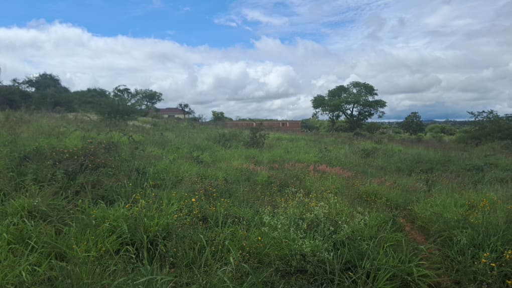 1.8 acre plot for sale in Buena vista