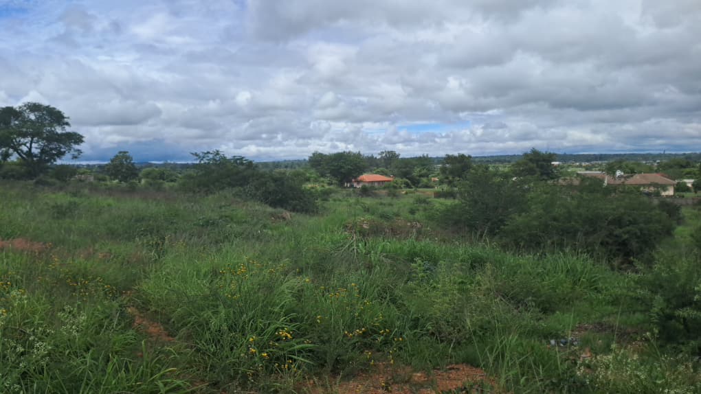 1.8 acre plot for sale in Buena vista