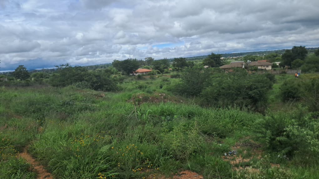 1.8 acre plot for sale in Buena vista