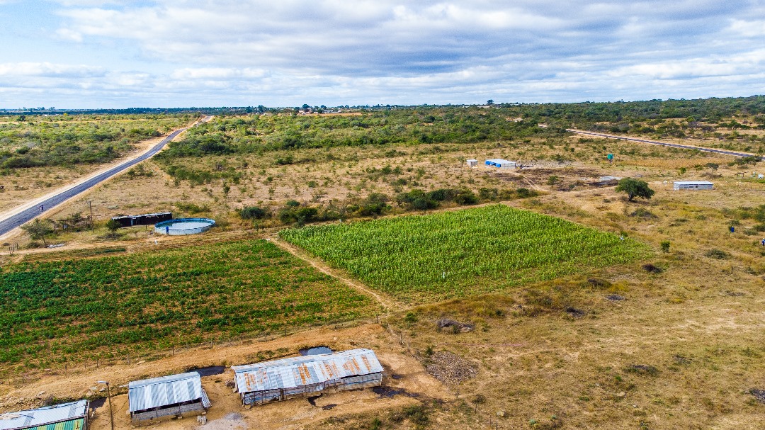 2,5 Acre land in Gumtree for sale