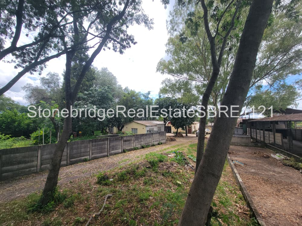 Manningdale Investment opportunity