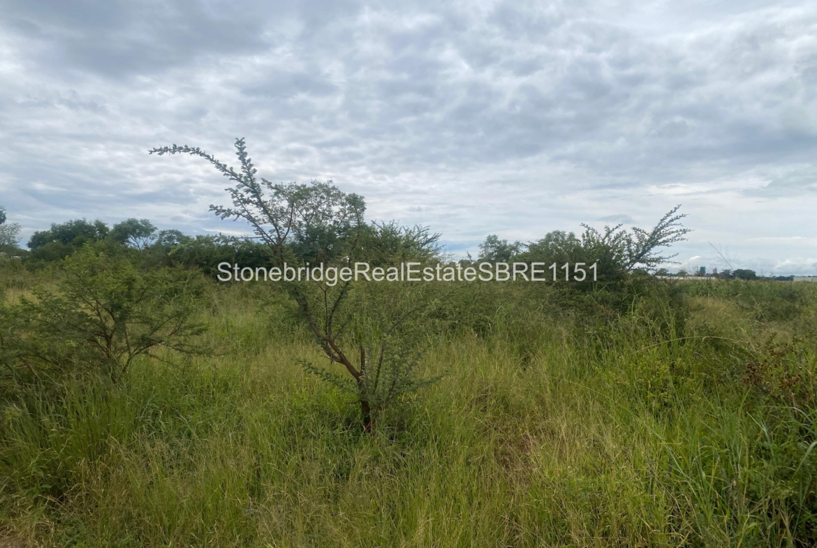4 Acre Stand in Woodville Park for sale