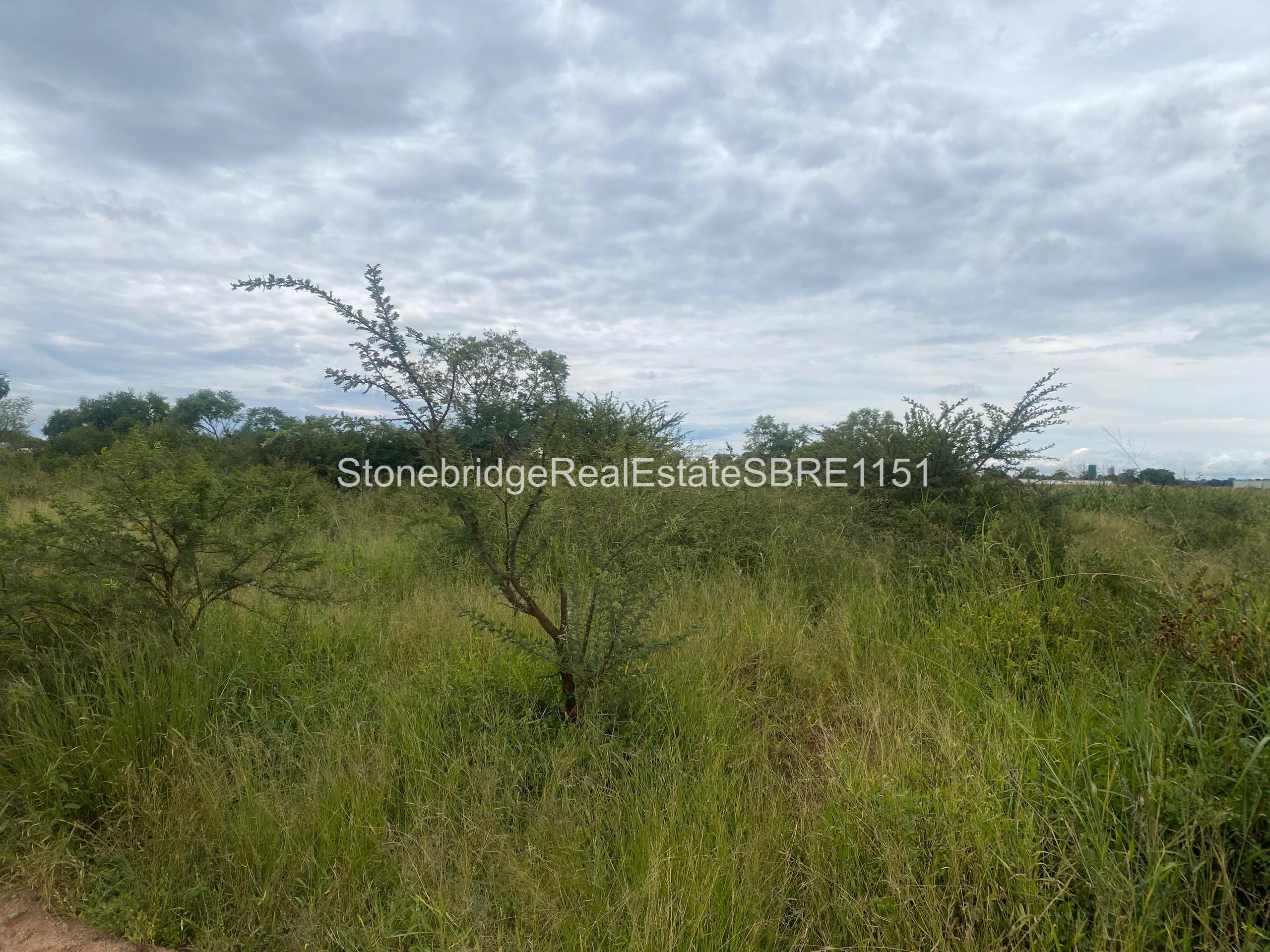 WhatsApp Image 2026-03-25 at 13.22.02 4 Acre Stand in Woodville Park for sale