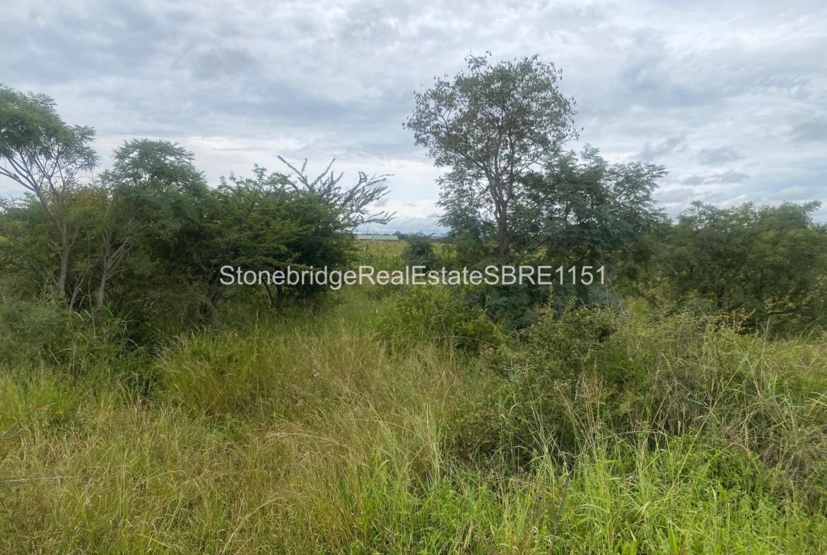 4 Acre Stand in Woodville Park for sale