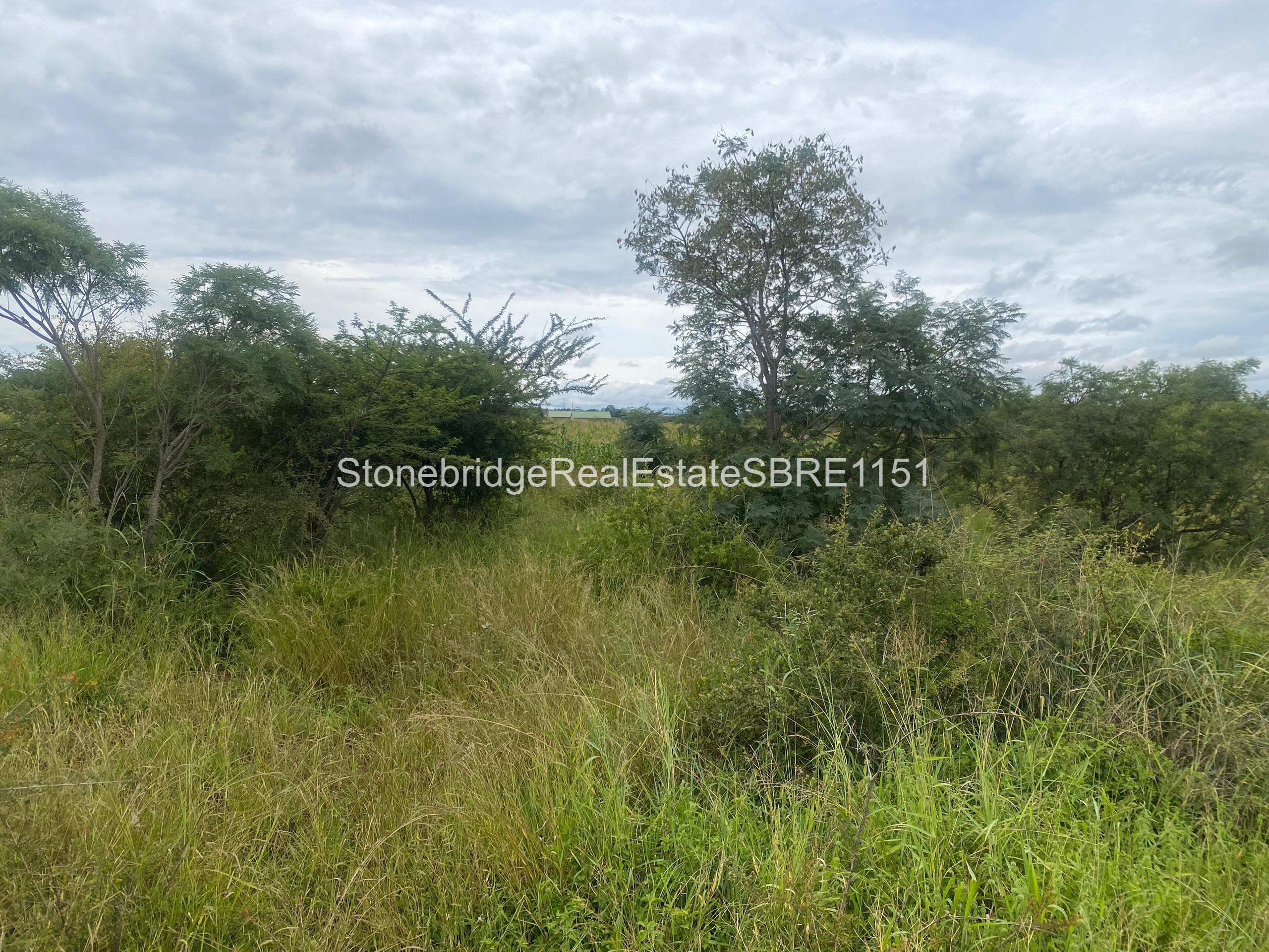 WhatsApp Image 2026-03-25 at 13.22.04 4 Acre Stand in Woodville Park for sale