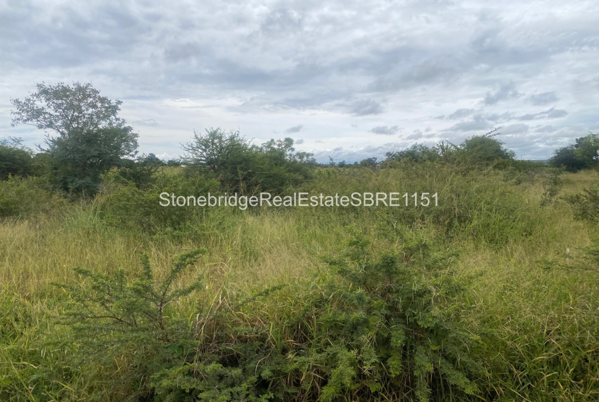 4 Acre Stand in Woodville Park for sale