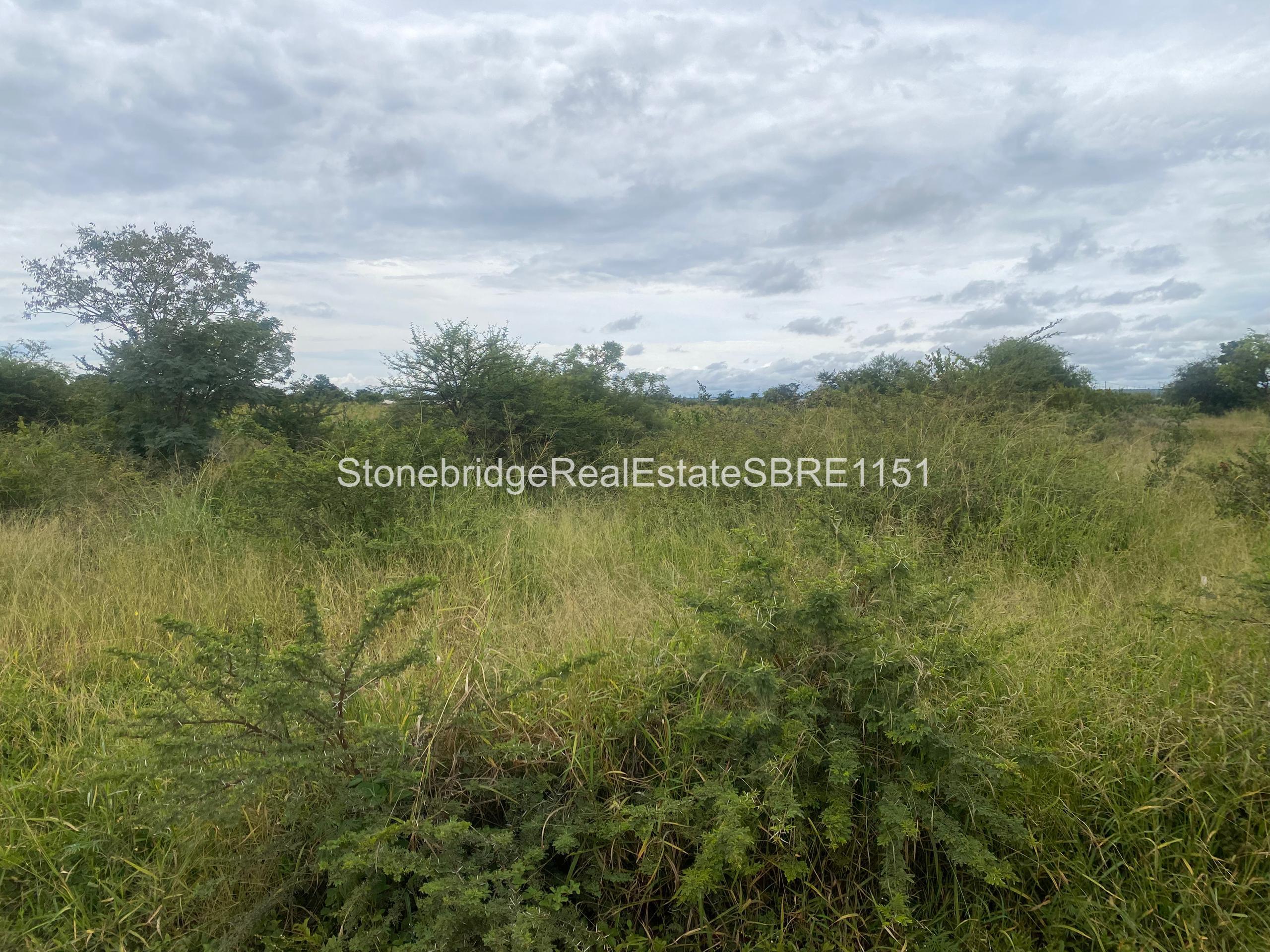 WhatsApp Image 2026-03-25 at 13.22.0553 4 Acre Stand in Woodville Park for sale