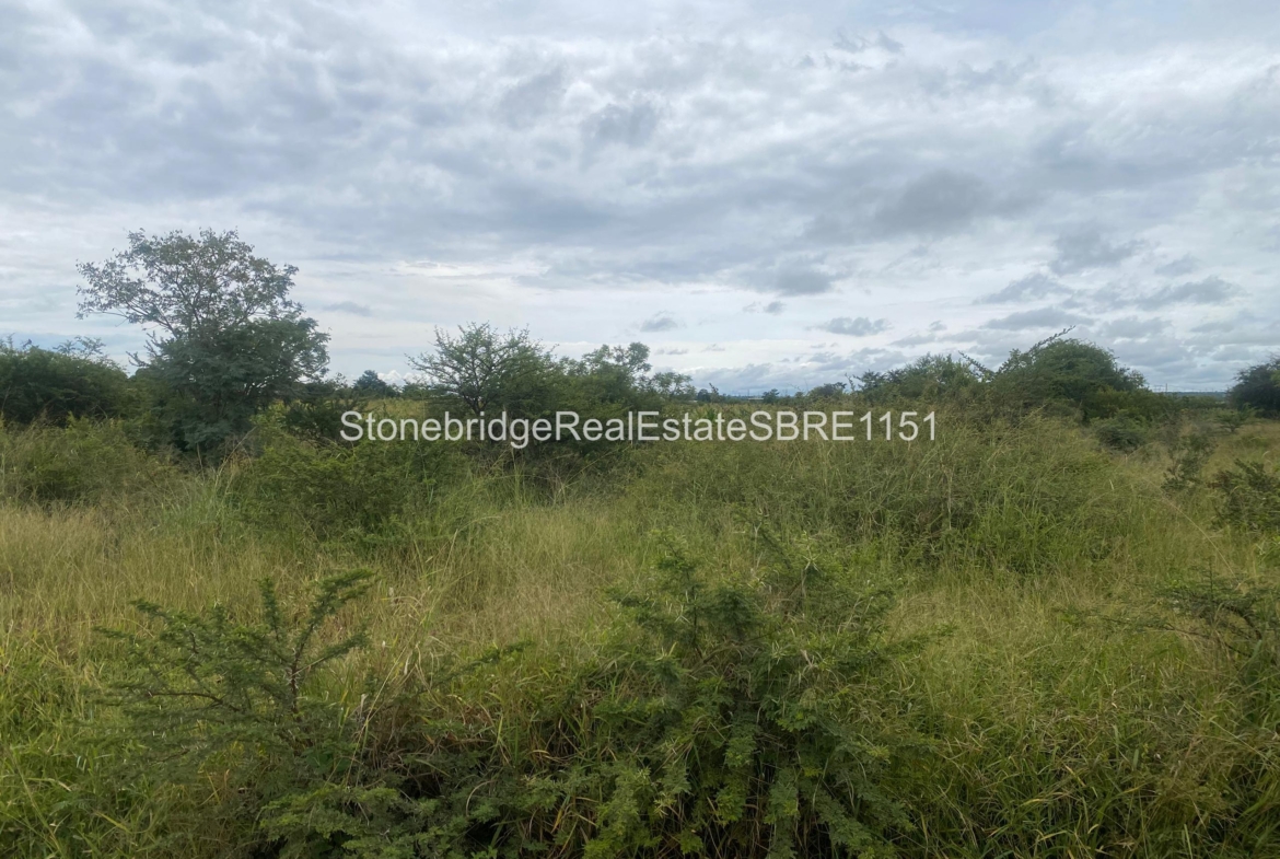 4 Acre Stand in Woodville Park for sale