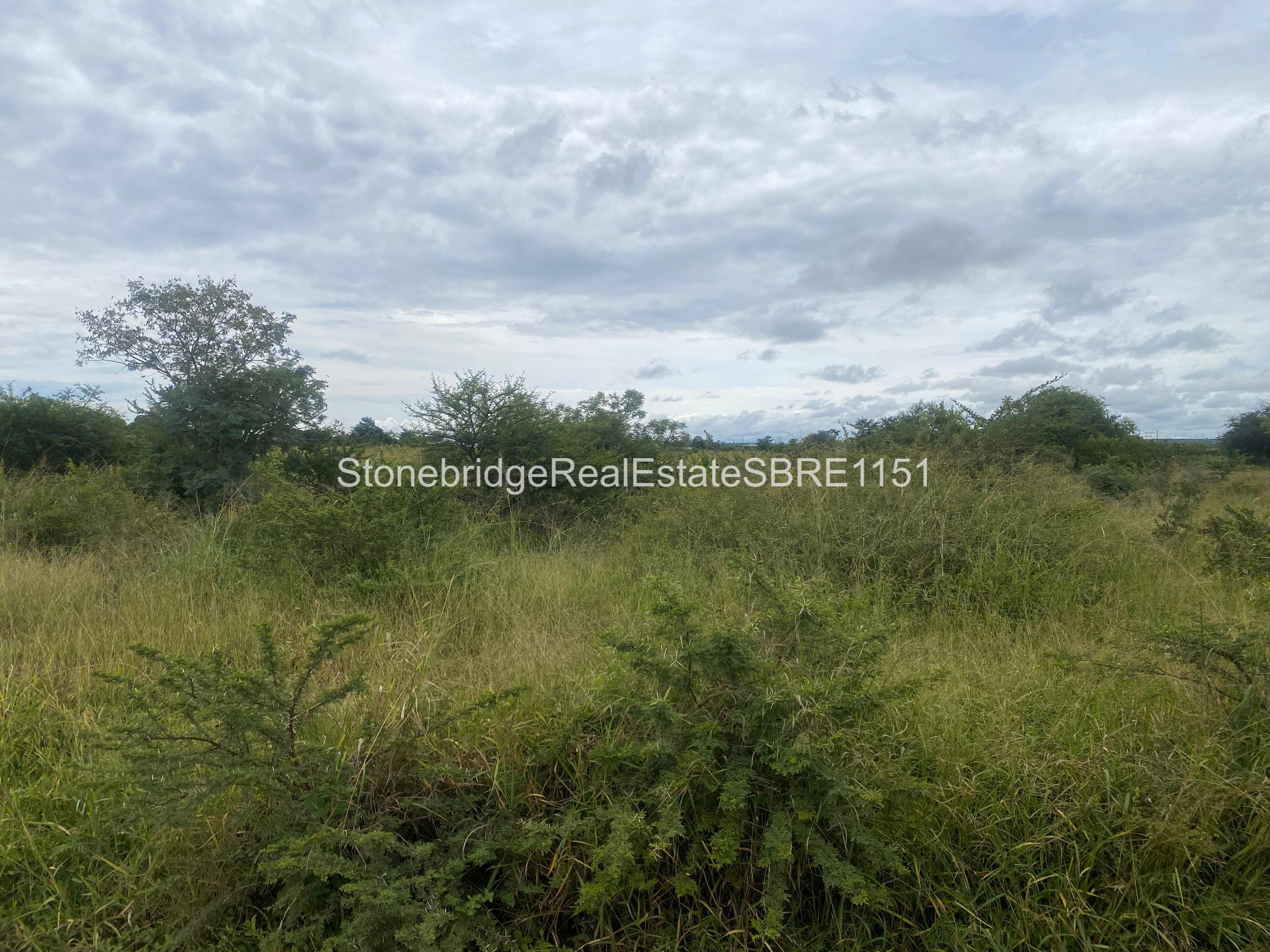 WhatsApp Image 2026-03-25 at 13.22.05593 4 Acre Stand in Woodville Park for sale