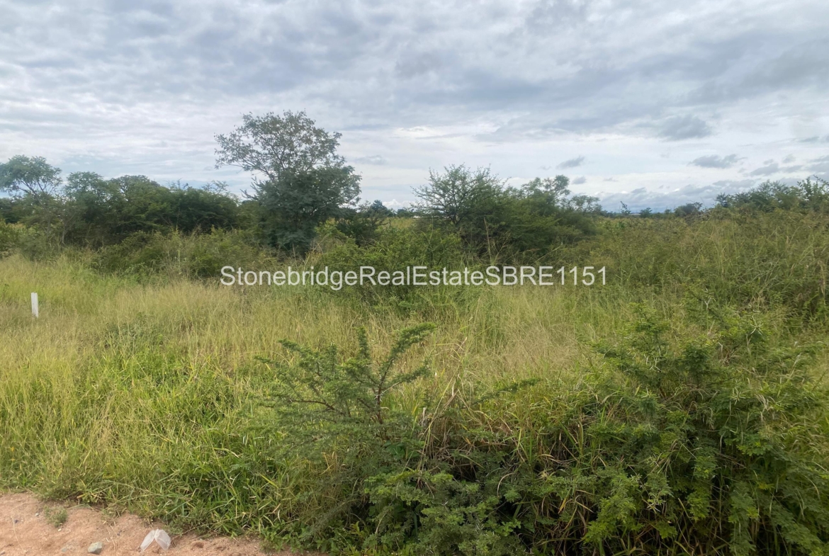 4 Acre Stand in Woodville Park for sale