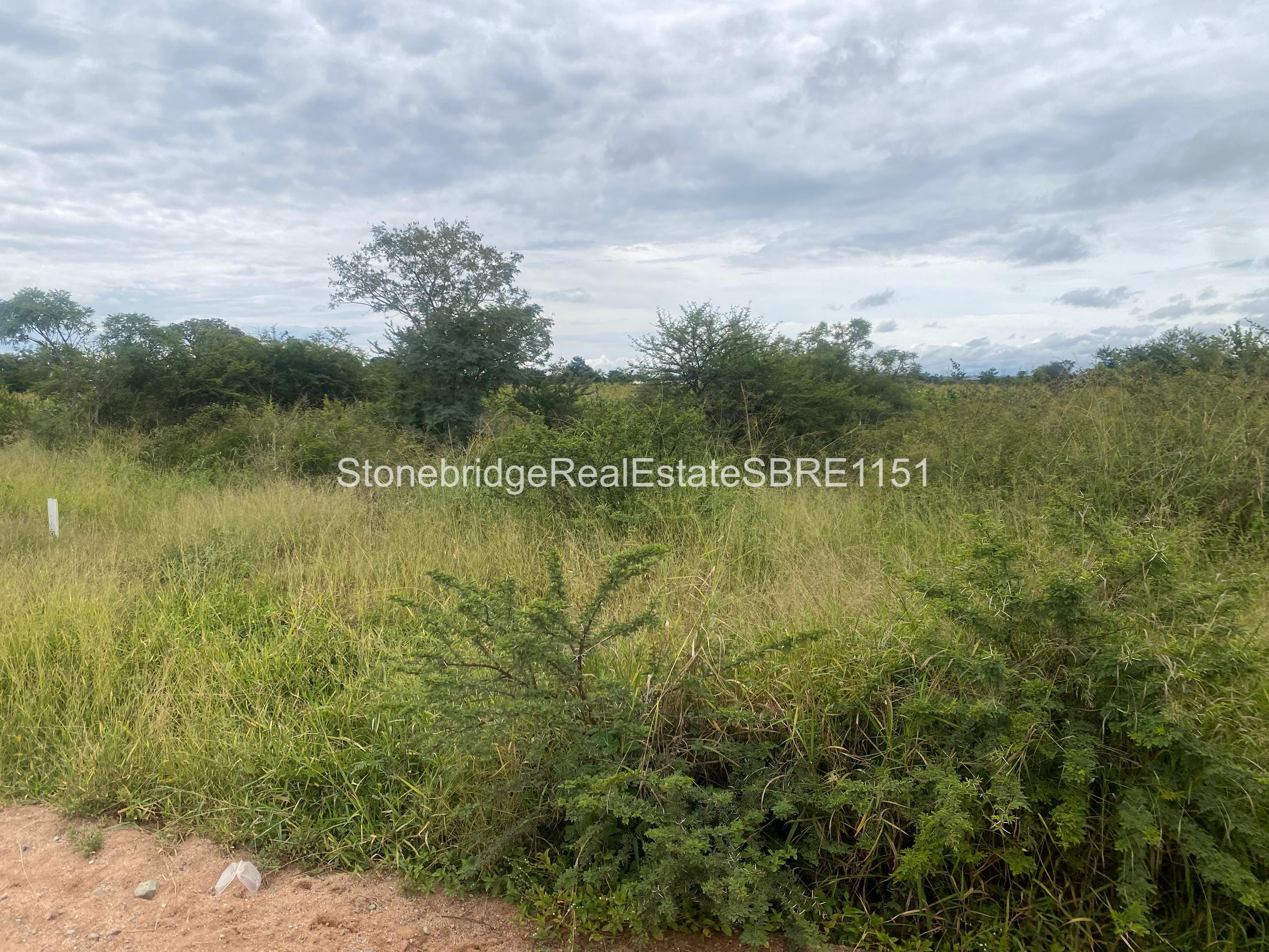 WhatsApp Image 2026-03-25 at 13.22.063 4 Acre Stand in Woodville Park for sale