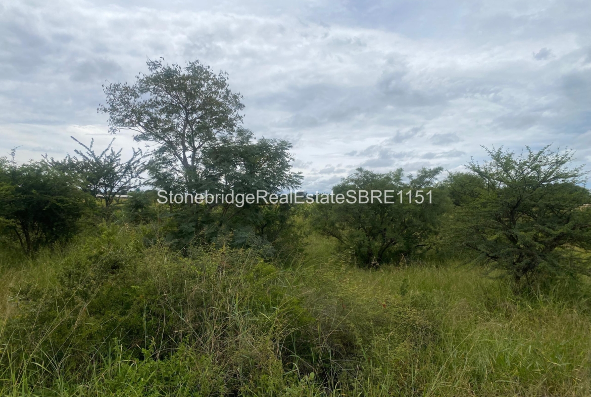 4 Acre Stand in Woodville Park for sale