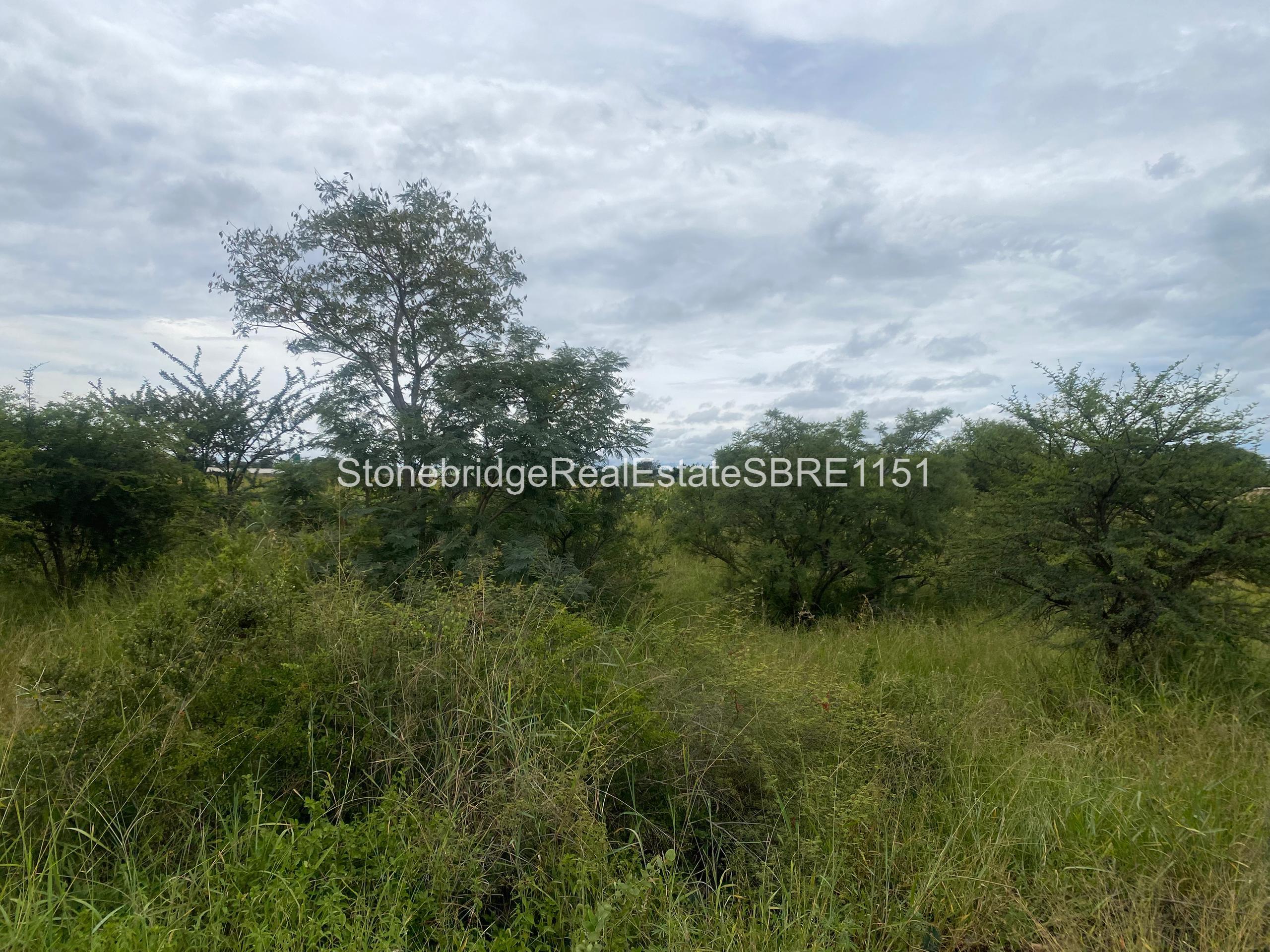 WhatsApp Image 2026-03-25 at 13.22.0993 4 Acre Stand in Woodville Park for sale