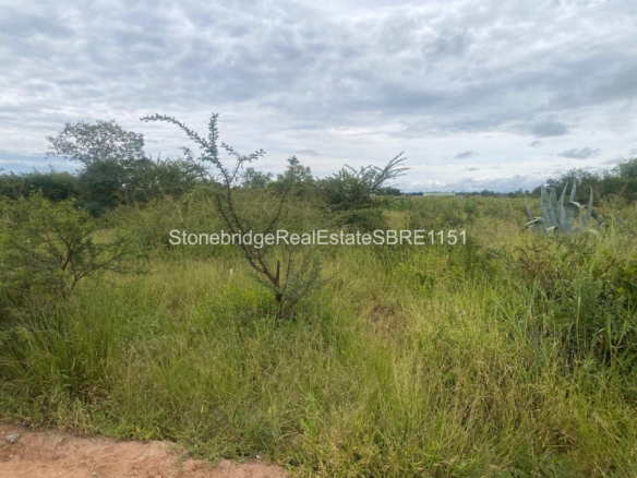 4 Acre Stand in Woodville Park for sale