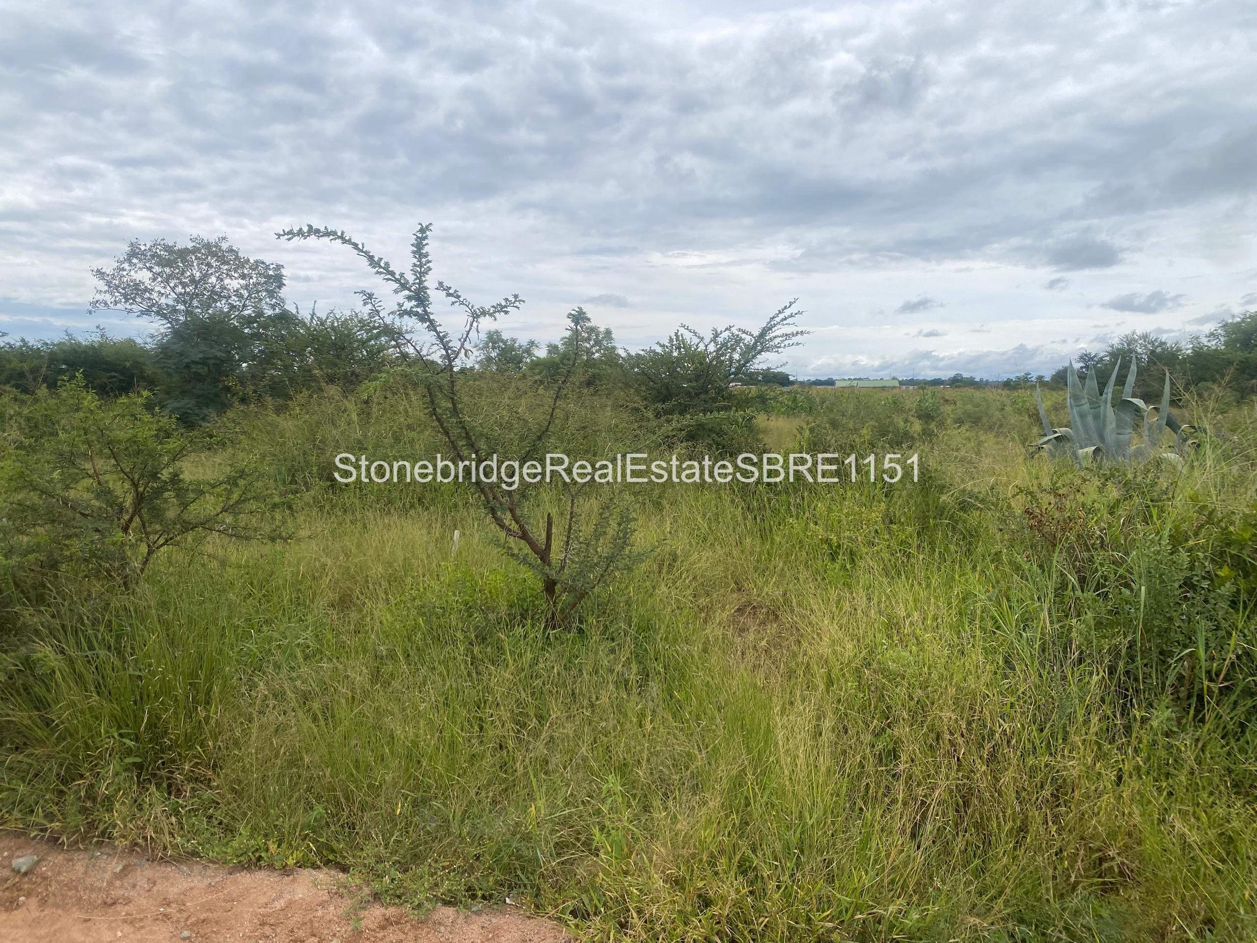 WhatsApp Image 2026-03-25 at 13.22.0994 4 Acre Stand in Woodville Park for sale