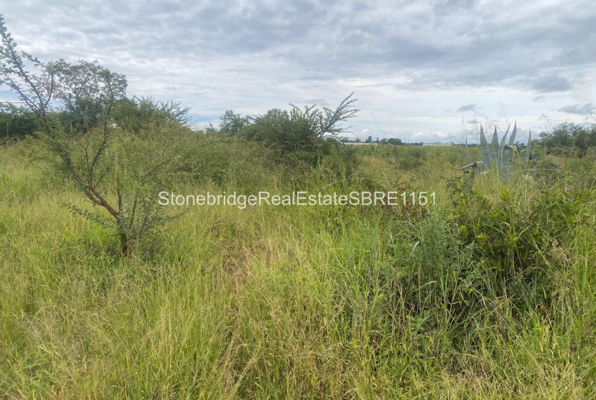 4 Acre Stand in Woodville Park for sale