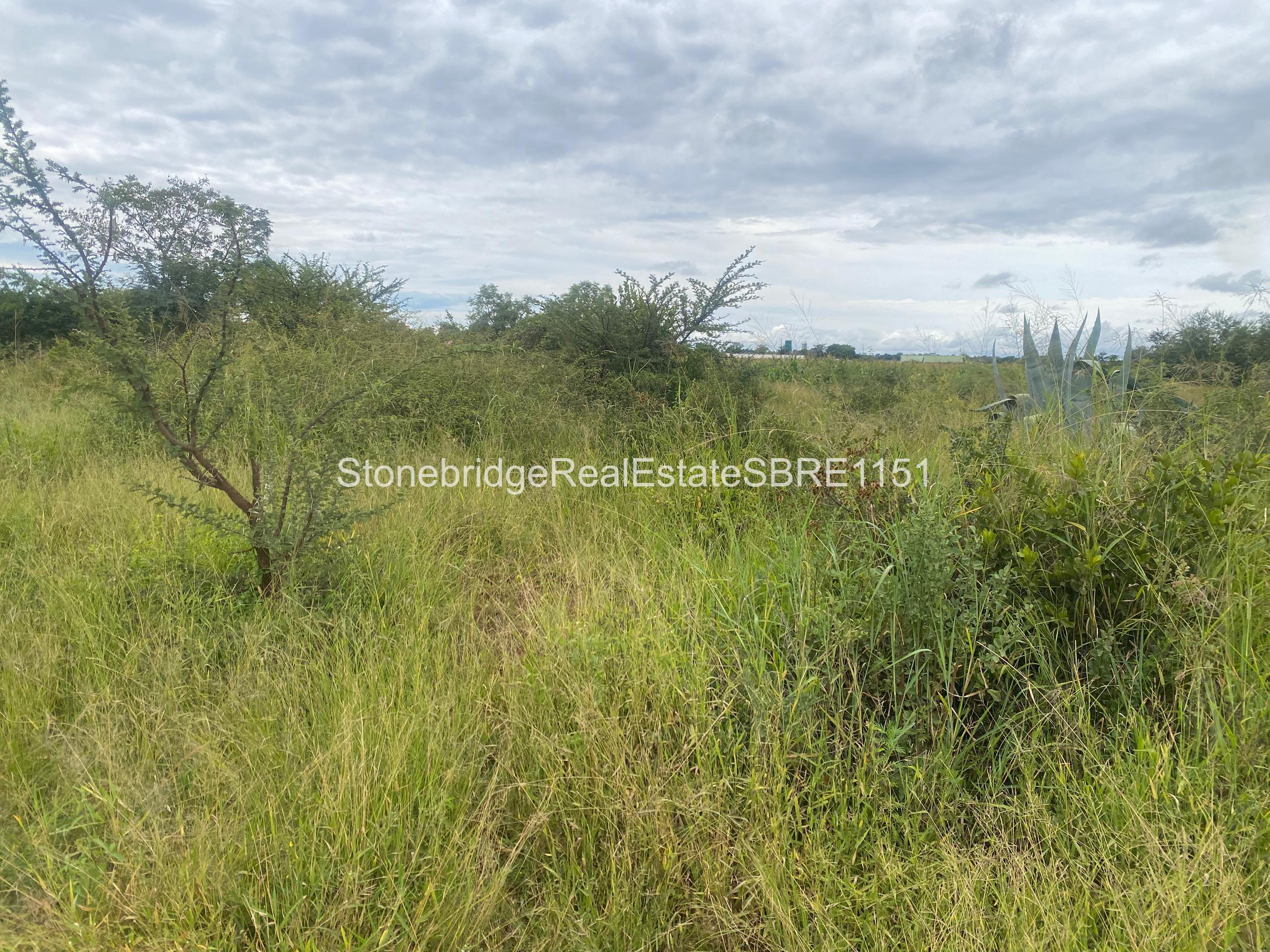 WhatsApp Image 2026-03-25 at 88 4 Acre Stand in Woodville Park for sale