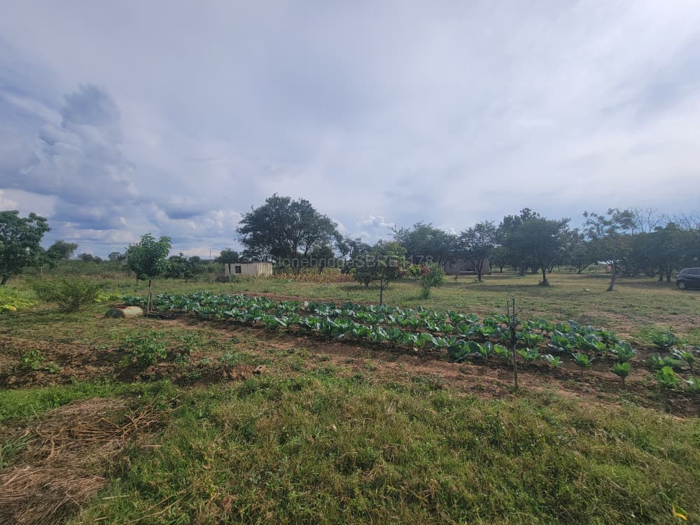 2 Acre farm in Manningdale for sale