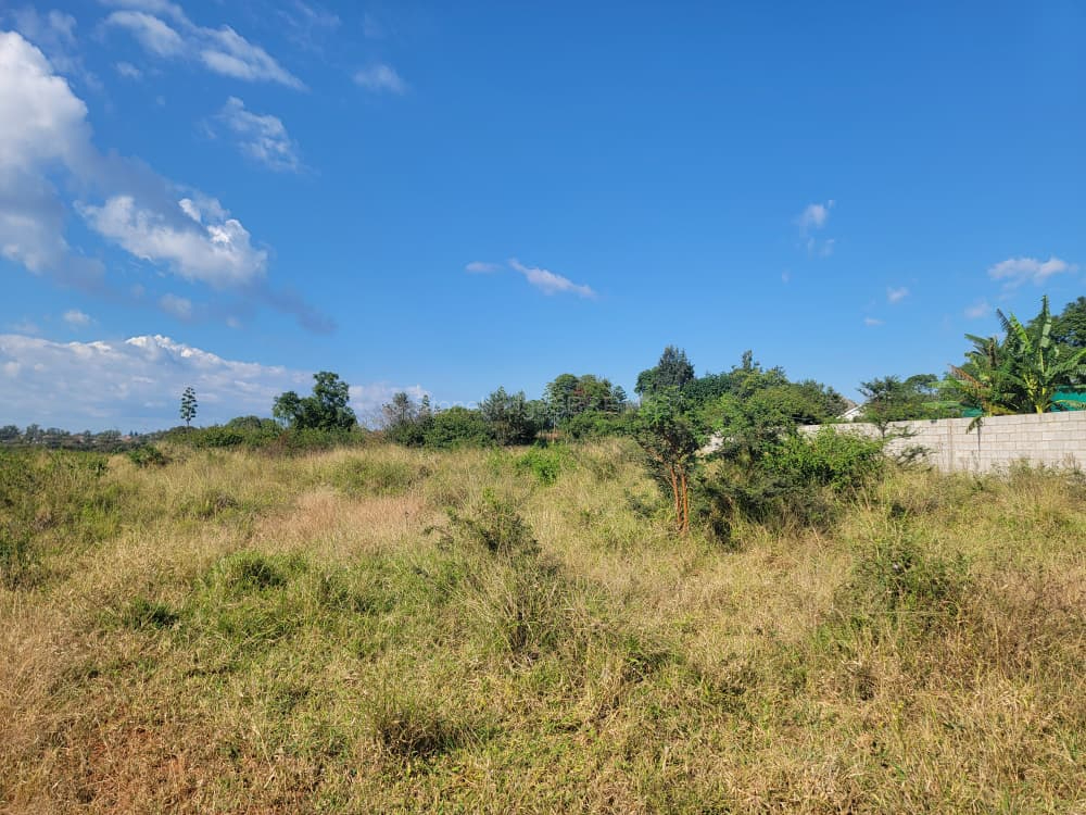 2 Acre Stand in Riverside for sale