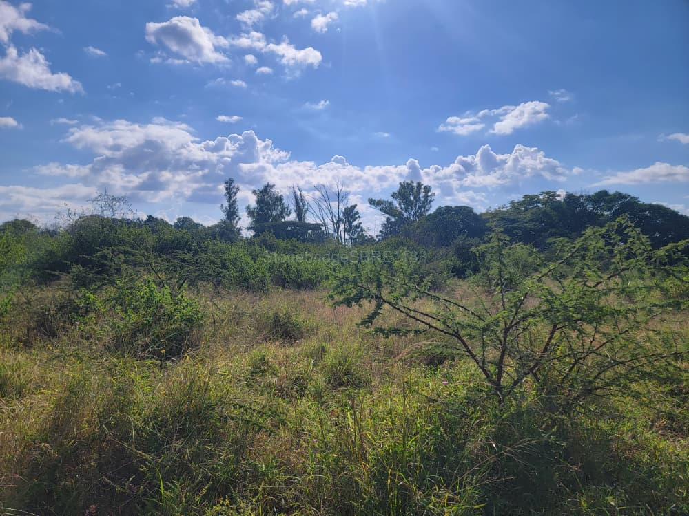 2 Acre Stand in Riverside for sale