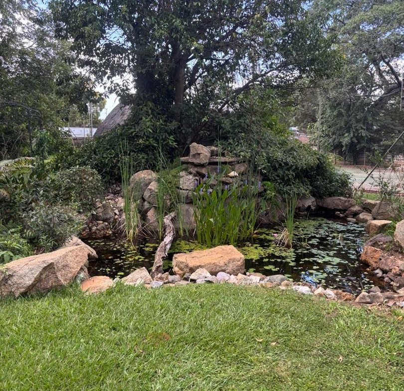 Double Storey House in Highlands Harare to rent