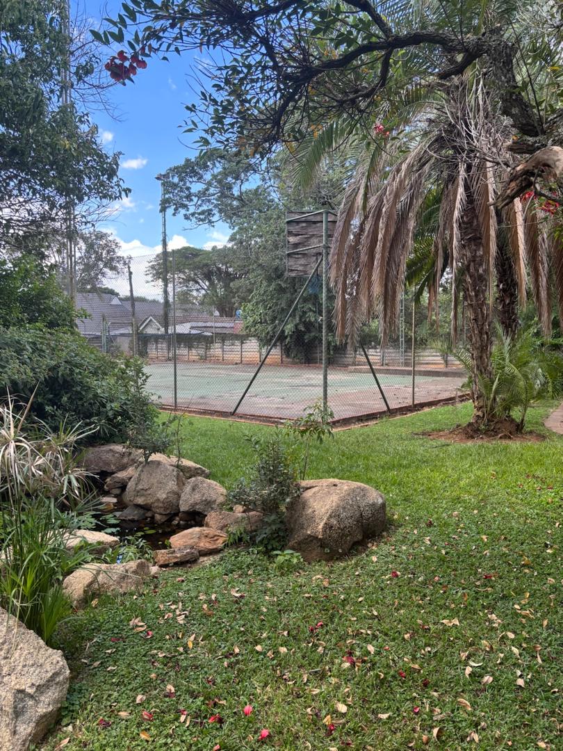 WhatsApp Image 2026-05-21 at 11.39.051 Double Storey House in Highlands Harare to rent
