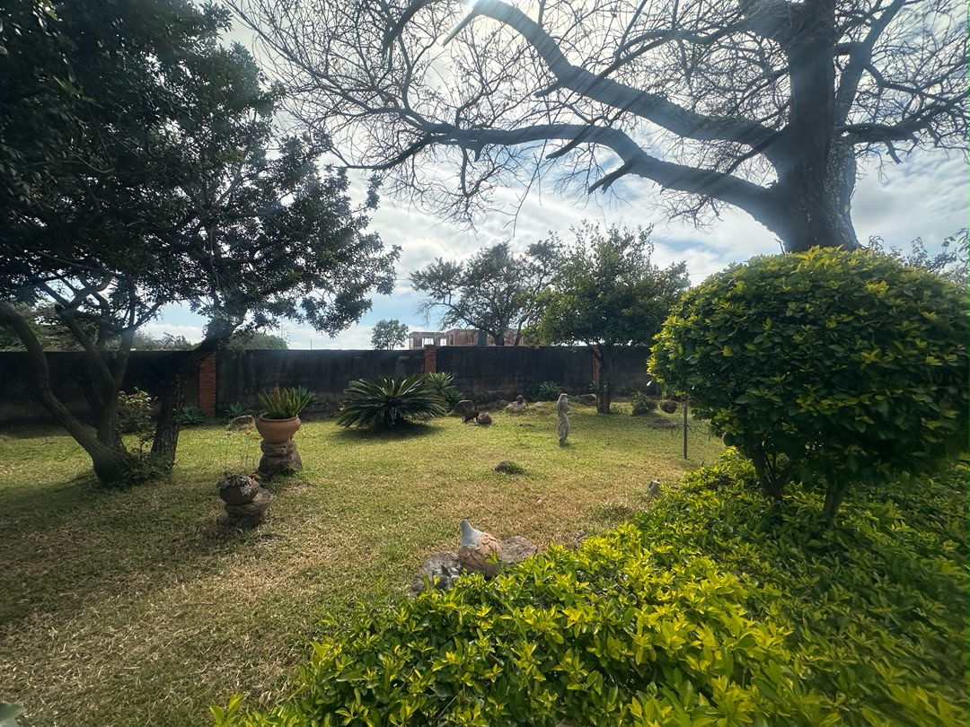 6 Bedroomed House in Burnside for sale