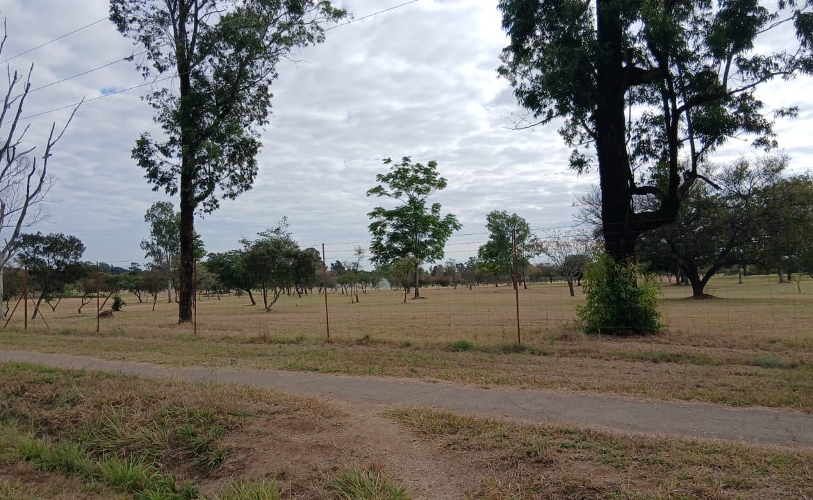 Prime 4000SQM Stand in Riverside for sale