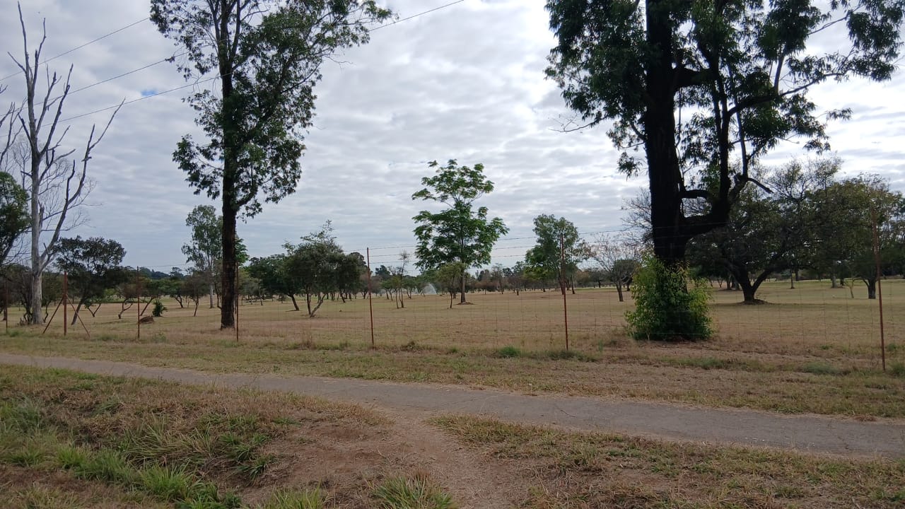 WhatsApp Image 2026-06-05 at 09.50.56 Prime 4000SQM Stand in Riverside for sale