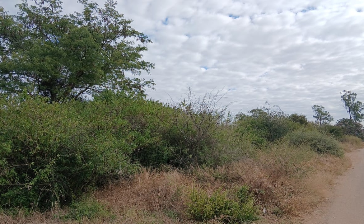 Prime 4000SQM Stand in Riverside for sale