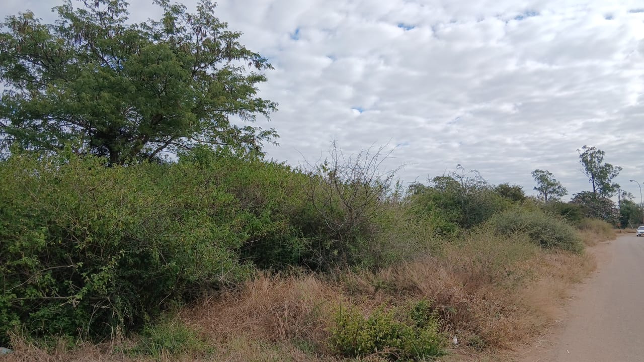 WhatsApp Image 2026-06-05 at 09.50.57 Prime 4000SQM Stand in Riverside for sale